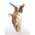 Figura anioła
