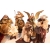 Figury do szopki bożonarodzeniowej - Zestaw FS26B - Figurki w szatach do szopki betlejemskiej