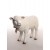 owca do szopki betlejemskiej